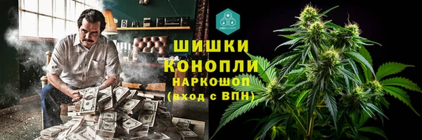 первитин Богданович