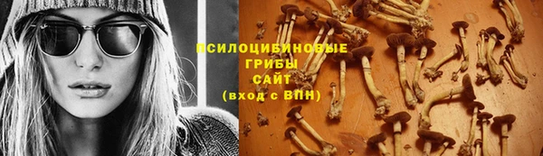 первитин Богданович