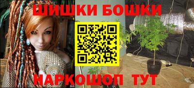 мет Можга
