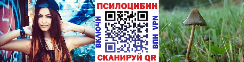 Псилоцибиновые грибы прущие грибы  Воркута 