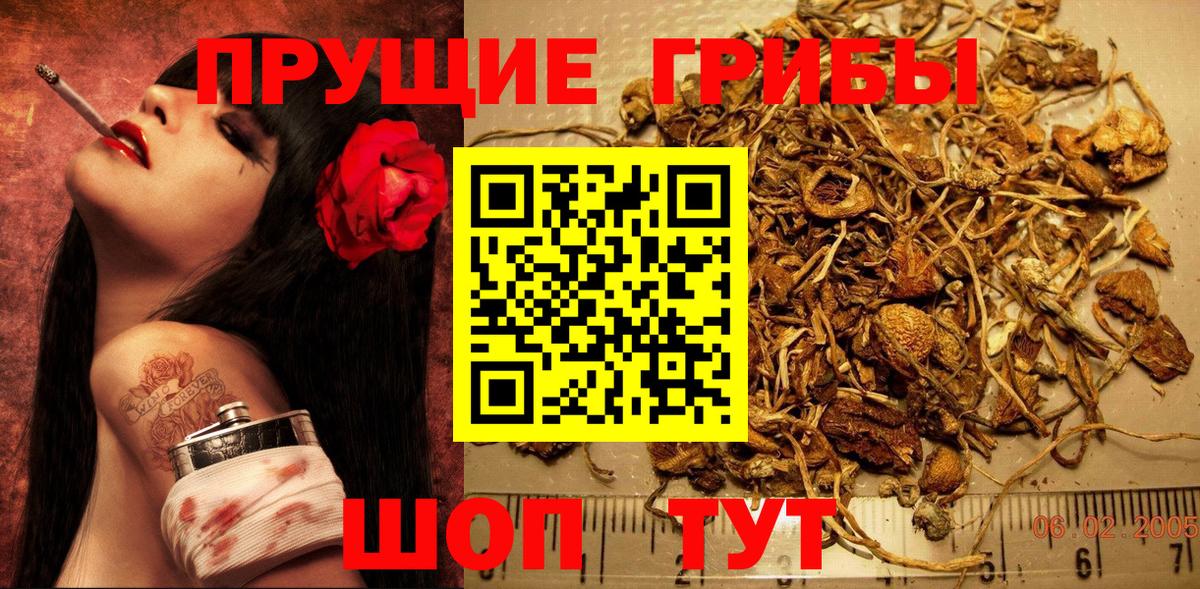 Галлюциногенные грибы Magic Shrooms Воркута